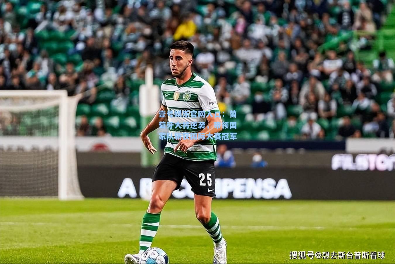 壹号娱乐官网入口：葡萄牙大将逆袭，带领国家队斩获国际大赛冠军