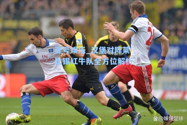 汉堡对阵莱比锡红牛队全方位解析